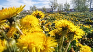 El clima hoy sábado y mañana domingo en Río Gallegos: la temperatura, el viento y las probabilidades de lluvias 