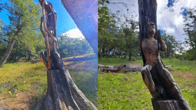 En la Cuenca el vandalismo afectó al paseo 