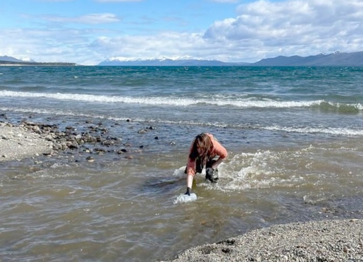 Identifican una nueva especie de pez de agua dulce en la provincia de Tierra del Fuego 