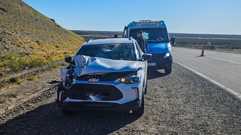 Santa Cruz: auto choc con un guanaco y dos personas terminaron en el Hospital 