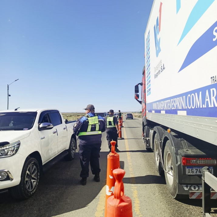 Recomendaciones a los conductores por la presencia de animales en rutas provinciales y nacionales de Santa Cruz