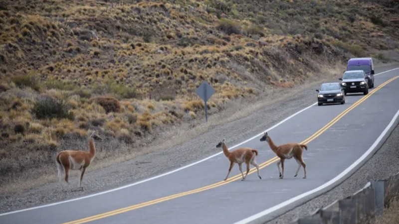 Hay que tener mucho cuidado en la ruta