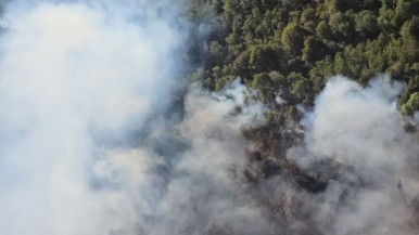 Siguen combatiendo el incendio en Río Negro 