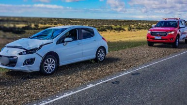 Nuevo choque de un auto contra un guanaco en las rutas de Santa Cruz: las recomendaciones a tener en cuenta para circular