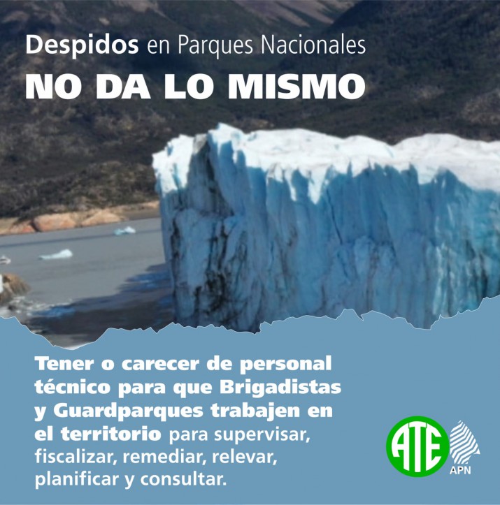 Brigadista de rescate despedida en el Chaltn: "El intendente del Parque Nacional Los Glaciares me llam y dijo que me echaba por lo que yo posteo en mis redes"