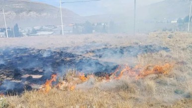 El Calafate:  incendios provocados por arrojar colillas de cigarrillos encendidas