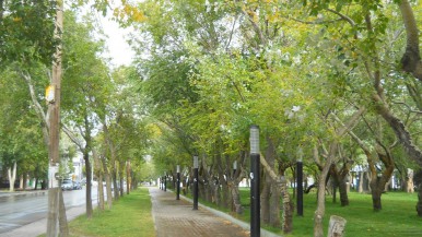 Plaza San Martín, lugar donde ocurrió el desafortunado hecho. 