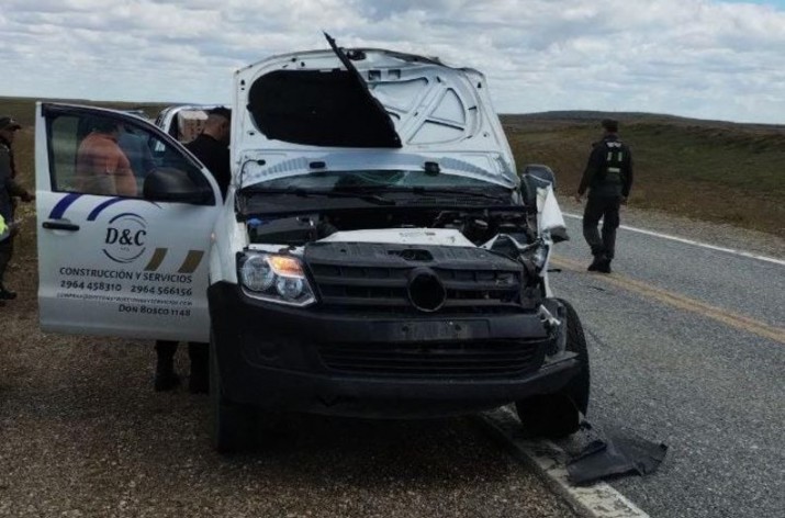 Un guanaco provoca un accidente entre un camin y una camioneta en la Ruta 3