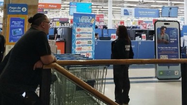 Ratones Viajeros : los roedores que sembraron el pánico en supermercado de punta Arenas venían en cargamento de papas 