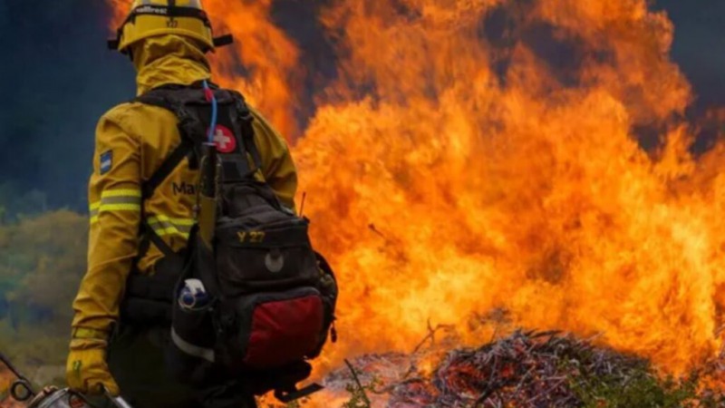 En plena temporada de verano, con rescates e incendios, sealan que 400 brigadistas estn trabajando sin contrato 