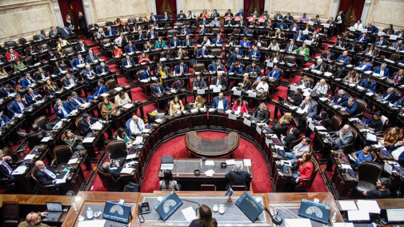 Elecciones legislativas 2025: cuntas bancas ponen en juego los bloques en Diputados y cules son las provincias claves