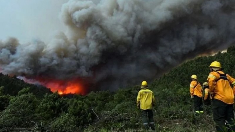 Brigadistas precarizados y subejecucin del presupuesto: los nmeros detrs de los incendios mientras avanza el fuego en el Parque Nacional Nahuel Huapi