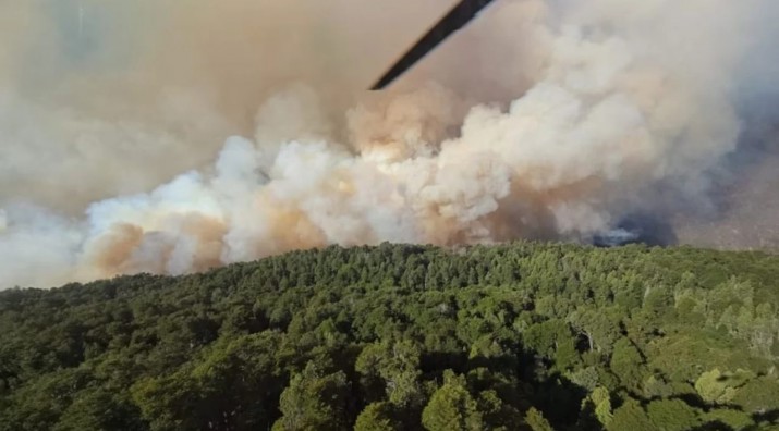 Brigadistas precarizados y subejecucin del presupuesto: los nmeros detrs de los incendios mientras avanza el fuego en el Parque Nacional Nahuel Huapi