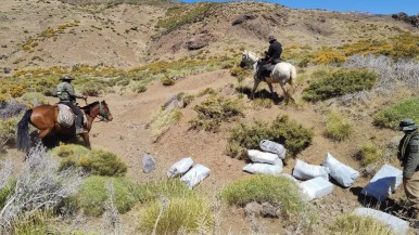 Encontraron bolsones abandonados cerca del límite con Chile en la Patagonia: están valuados en casi 28 millones  