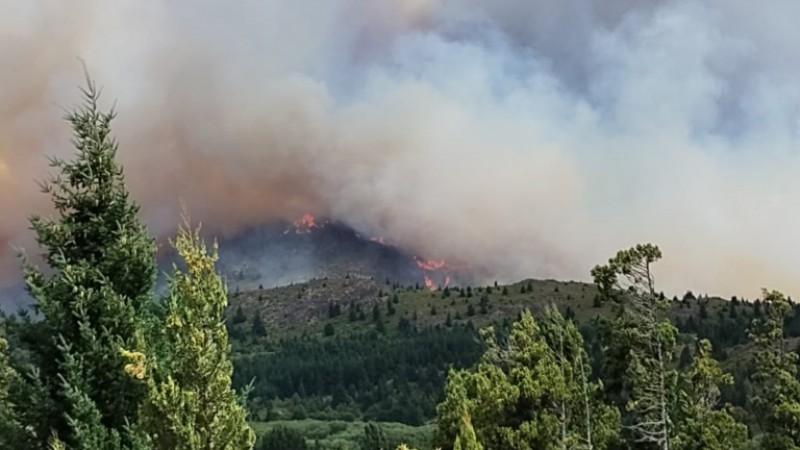 El incendio en Epuyn ya consumi 1.800 hectreas