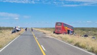 Accidente fatal en una ruta patagónica: murieron cinco personas 