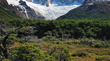 Según la inteligencia artificial, el mejor Parque Nacional para visitar está en Santa Cruz: cuál es