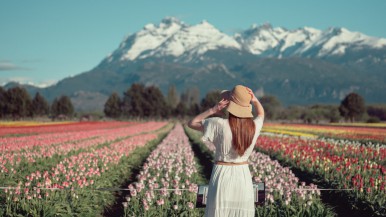 Un paraíso en la Patagonia: el campo de tulipanes que crea una experiencia única a 20 km de la cordillera