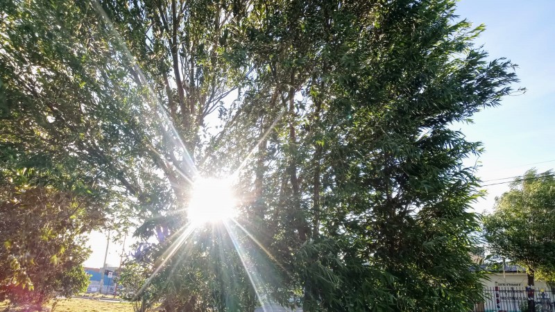 Fin de semana en Ro Gallegos: la temperatura agradable pronosticada y qu pasar con el viento